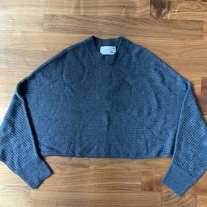 Aritzia Wilfred Free Grey Cropped Sweater